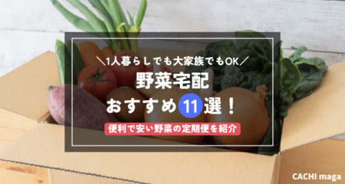 野菜宅配おすすめ11選！選ぶポイントやメリット、一人暮らしでも便利な安い野菜の定期便まで紹介